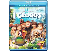 BRD3D I CROODS