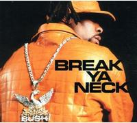 Break Ya Neck (2000-01-01)