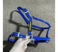 Breakaway Halters for Horses, Zinc Alloy Patent Leather, Small Horse Halter, Equestrian Supplies(blue,L)