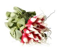 Breakfast Radish, x 3 Bunches