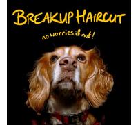 Breakup Haircut - No Worries If Not!