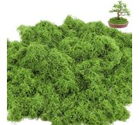BREANIFULL Artificial Moss Plant Decorative 200g Fake Plant Foam Decorative Floral Artificial Plants for Christmas and Wall Decoration in the Home