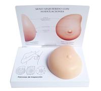 Breast Self Examination Model,Human Anatomy Model of Breast with Irregular Masses, Medical Tool or Lactation Therapists Technique Practice Model