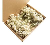Breath Dry Flowers,100 PCS White Breath Dried Pressed Flowers for Wedding Invitation Accessories Bookmark Candle Making Supplies