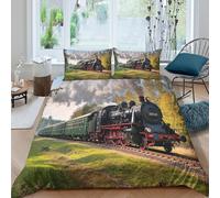 Breathable 3D Print Microfiber Steam Train Comforter Cover All Season Bedding Sets w/ Matching Pillowcase Historical Railway Scene Quilt Cover Easy Care Breathable Teens Adults Si (140x200cm)