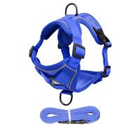 Breathable Cat Vest Harness ? Lightweight Secure Pet Outfit, Anti-Slip Strap | Escape Resistant Kitten Chest Harness with Lead for Dog Puppy Safety Travel Gear for Outdoor Garden Walking