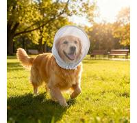 Breathable Dog Face Mask - Anti Mosquito & Chewing Pet Headwear for Small Medium Large Dogs - Soft Mesh Muzzle Guard for Home Safety & Outdoor Walks - Stop Scavenging Protective Snood (White, L)