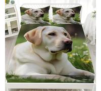 Breathable Hypoallergenic Fitted Sheet Super King 72x80 inch Deep Pockets 12 inch Animal Labrador Retriever Ultra Soft Microfibre Bedding Set Green Fitted bed Sheet for Children Adults Bedroom