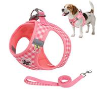 Breathable Mesh Dog Harness and Leash Set,Reflective No Pull Step in Vest with Safety Buckle,Escape Proof No Chock Cat Harness,360° Surround Fit,Suitable for Small Medium Dogs Cats Easy Walk