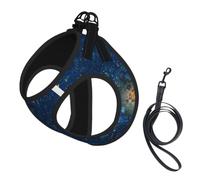 Breathable Mesh Vest for Small Dogs & Cats - Reflective, Adjustable in | With Accessories Blue Village Print S Small Pet Harness - Lightweight Air Mesh With Quick-Release Buckle