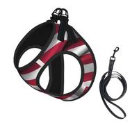 Breathable Mesh Vest for Small Dogs & Cats - Reflective, Adjustable in | With Accessories United States Flag Print M Small Pet Harness - Lightweight Air Mesh With Quick-Release Buckle