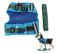 Breathable Polyester Mesh Pet Vest Harness Leash Rope for Dogs Cats Two Colors Three Sizes (S)