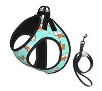 Breathable Small Dog Cat Harness Vest, Adjustable Mesh With Accessories | Corgi Cute Dog Small Dog Harness S , Breathable Mesh Vest, Reflective Adjustable For Cats