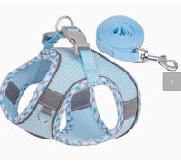 Breathable Step In Dog Harness & Leash Kit, Comfortable Mesh Pet Vest with Safety Buckle for Daily Walking, Small Dog Accessory, Light Blue, M
