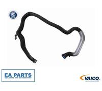 Breather Hose, expansion tank for FORD TRANSIT VAICO V25-2283