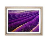 Breathtaking Lavender Flower Field Framed Wall Art Print A2 Oak