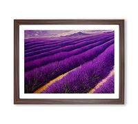 Breathtaking Lavender Flower Field Framed Wall Art Print A2 Walnut