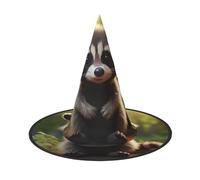 BREAUX Cute Raccoon print Halloween Witch and Wizard Hat Witch Costume for Theme Decoration Halloween Party