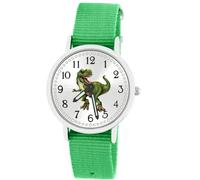 Brecjon Children's Wrist Watch Boys Dinosaur T Rex Luminous Hands 5 ATM Waterproof Textile Strap, Green / sunray dial, Strap.