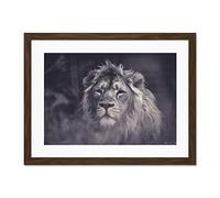 Bredesen Male African Lion Large Art Print Poster Wall Decor 18x24 inch Supplied Ready To Hang With Included Mount Brackets