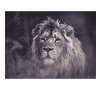 Bredesen Male African Lion Large Canvas Wall Art Print