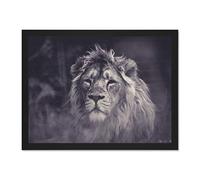 Bredesen Male African Lion Large Framed Art Print Poster Wall Decor 18x24 inch