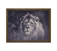 Bredesen Male African Lion Large Framed Art Print Poster Wall Decor 18x24 inch