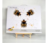 Bree Merryn Paint by Numbers 40cm x 50cm Acrylic Paints on Canvas kit - Three Bees