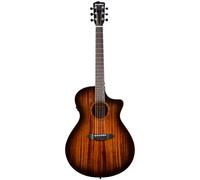 Breedlove Wildwood Pro Drdnght Conc CE