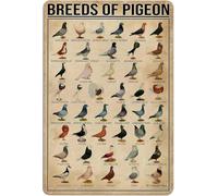 Breeds of Pigeon Metal Tin Signs Plaque Pigeon Education Encyclopedia Knowledge Posters Wall Decor Farm Decor Home Decor Vintage Printinges 8x12 Inch