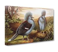 Brehms Tierlben Western Crowned Pigeon Vintage Canvas Wall Art Print Ready to Hang, Framed Picture for Living Room Bedroom Home Office Décor, 30x20 Inch (76x50 cm)