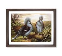 Brehms Tierlben Western Crowned Pigeon Vintage Framed Print | A4 Walnut Framed Wall Art | Ready to Hang | Classic Animal Picture | Living Room Bedroom Lounge Office