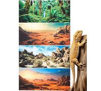 Breling 4 Pcs 18 x 36 Inch Reptile Habitat Background with Nano Glue Gobi Sun Cactus Stone and Green Tree Fern Stream Terrarium Background Polyester Durable Aquarium Accessories