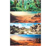 Breling 4 Pcs 18 x 48 Inch Reptile Habitat Background with Nano Glue Gobi Sun Cactus Stone and Green Tree Fern Stream Terrarium Background Polyester Durable Aquarium Accessories