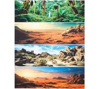 Breling 4 Pcs 18 x 71 Inch Reptile Habitat Background with Nano Glue Gobi Sun Cactus Stone and Green Tree Fern Stream Terrarium Background Polyester Durable Aquarium Accessories