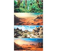 Breling 4 Pcs 30 x 11.8 Inch Reptile Habitat Background with Nano Glue Gobi Sun Cactus Stone and Green Tree Fern Stream Terrarium Background Polyester Durable Aquarium Accessories