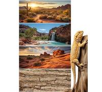 Breling 4 Pcs Reptile Tank Background 36 x 18 Inch Reptile Tank Accessories Polyester Terrarium Background Decor for Leopard Gecko, Turtle, Bearded Dragon (Canyon Waterfall, Bark, Cactus, Gobi Desert)