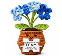 Breling Chistmas Boss Gift for Women Men, Blue Flower