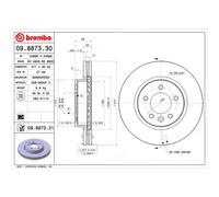 Brembo 09.8873.31 Prime Brake Disc