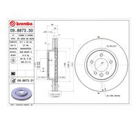 Brembo 09.8873.31 Prime Brake Disc