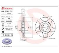 Brembo 2 x Front Brake 256mm Disc Set fits Skoda Fabia VW Golf 09.7011.75