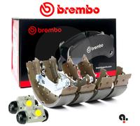 Brembo Rear Brake Shoes Kit + Cylinder Renault Clio Citroen C3 C4