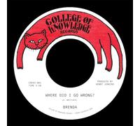 Brenda - Where Did I Go Wrong?/Family [7" VINYL]