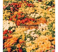 Brendan Canning - Home Wrecking Years [VINYL]
