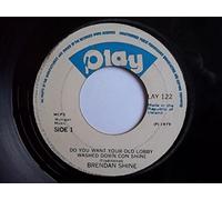 Brendan Shine - BRENDAN SHINE Do You Want Your Old Lobby Washed Down Con Shine 7" 45