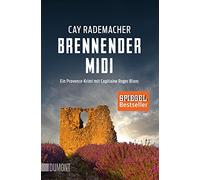 Brennender Midi: Ein Provence-Krimi mit Capitaine Roger Blanc (3)