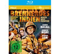 BRENNENDES INDIEN (BLU-RAY) - THOMPSON,J.LEE BLU-RAY NEW