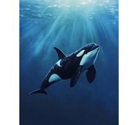 Brennora 5D Diamond Painting Kits Ocean Killer Whales Adults DIY Full Drill Painting Rhinestone Crystal Art Diamond Canvas Set Home Wall Decorations 40x50 cm