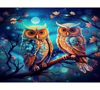 Brennora 5D Diamond Painting Kits Two Owls DIY Adult Kids Beginner Diamond Crafts Home Wall Decoration 40x50 cm