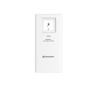 BRESSER Lightning Detector
